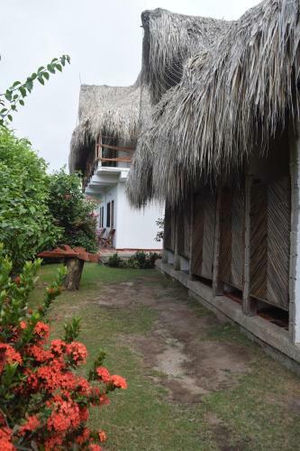 Palomino Breeze Hostal