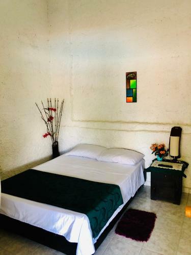 Hotel Dosis Verde
