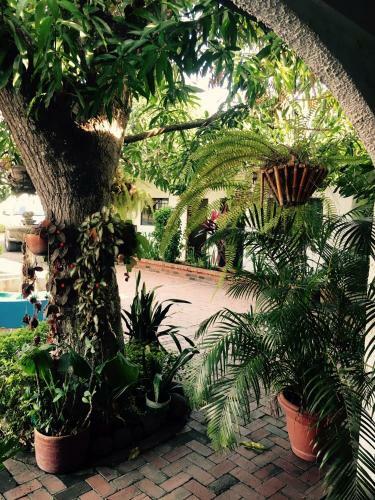 Hotel Dosis Verde