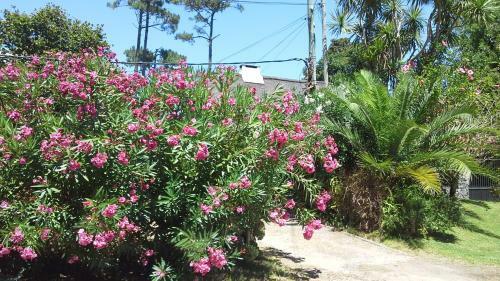 Bed & Breakfast Mi Rincon
