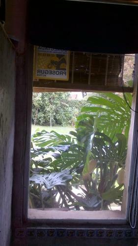 Bed & Breakfast Mi Rincon