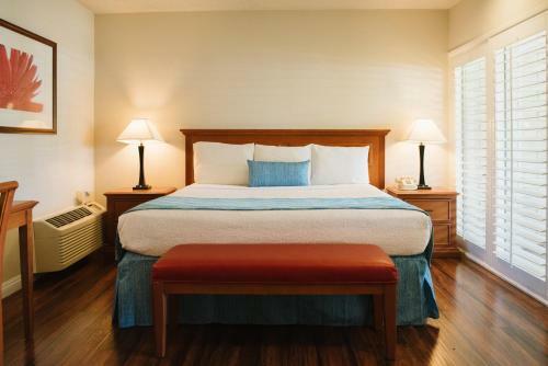 Hotel Alamo Inn And Suites - Convention Center