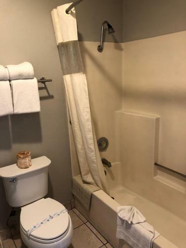 Hotel Alamo Inn And Suites - Convention Center
