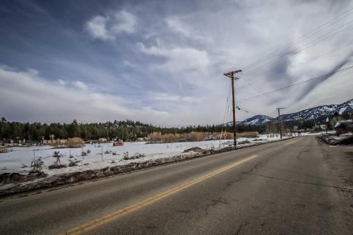 Leader On Cedar #1115