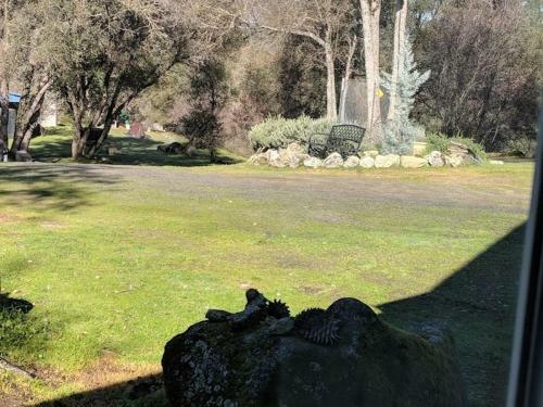 Yosemite Nights Bed & Breakfast