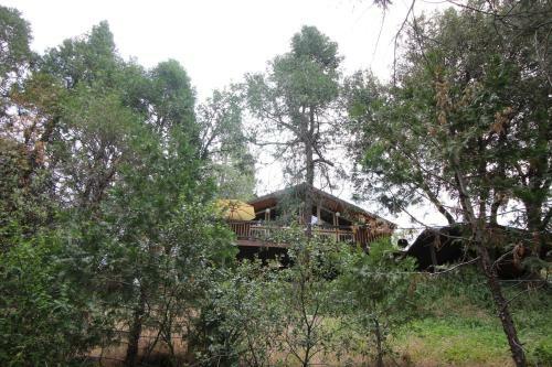 Cedar Mountain Lodge