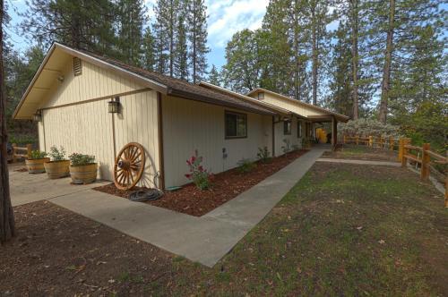 Yosemite's Blue Bird Ranch