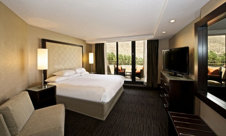 Hotel Hyatt Palm Springs