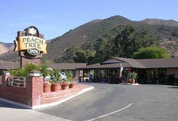 Posada Peach Tree Inn
