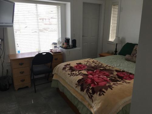 Hostal White House Bed And Breakfast
