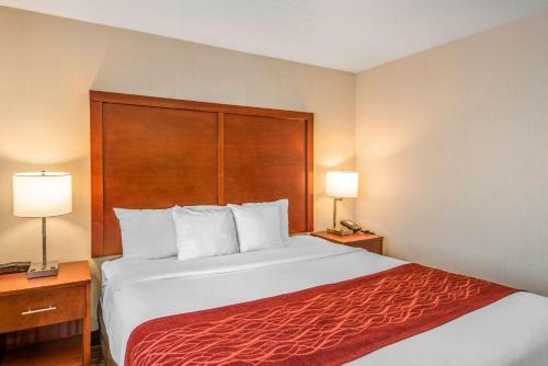 Hotel Comfort Inn Central Weed