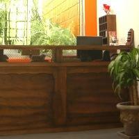 C'chic Boutique Hotel
