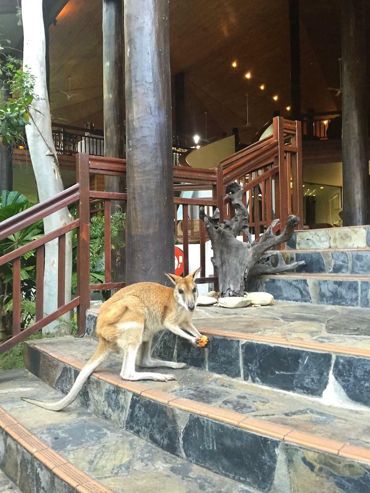 Hotel Thala Beach Lodge