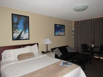 Cove Motel Oceanfront