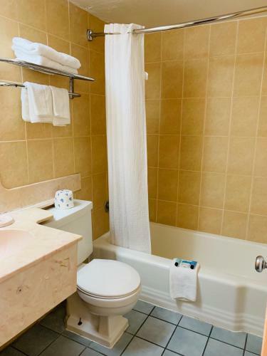 Motel Value Lodge - Gainesville