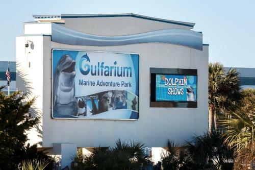 Apartamento The Palms 203