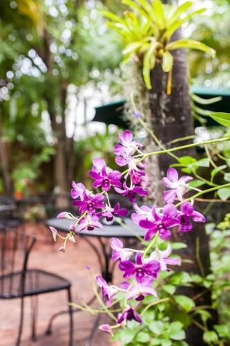 Bed & Breakfast Old Town Manor
