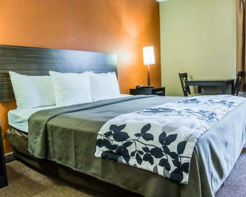Hotel Sleep Inn & Suites Lakeland