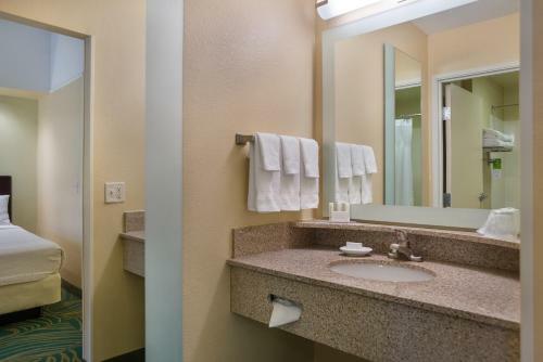 Hotel Springhill Suites St Petersburg Clearwater