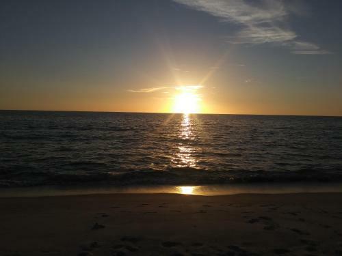 Posada Turtle Crawl Inn - Longboat Key