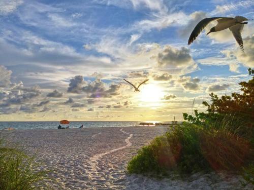 Posada Turtle Crawl Inn - Longboat Key