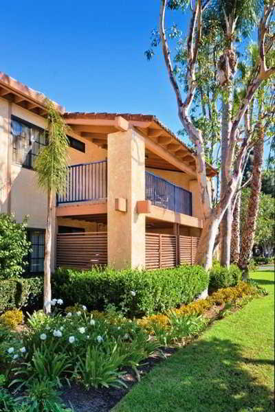 Hotel Dolphins Cove Resort