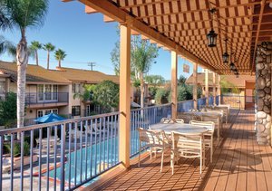 Hotel Dolphins Cove Resort