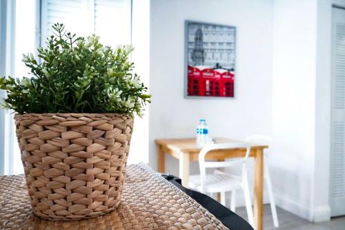 Apartamento Playa De Oro