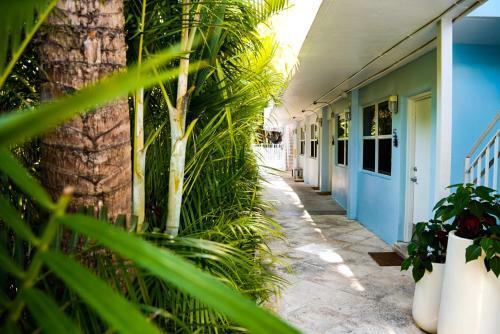 Apartamento Playa De Oro