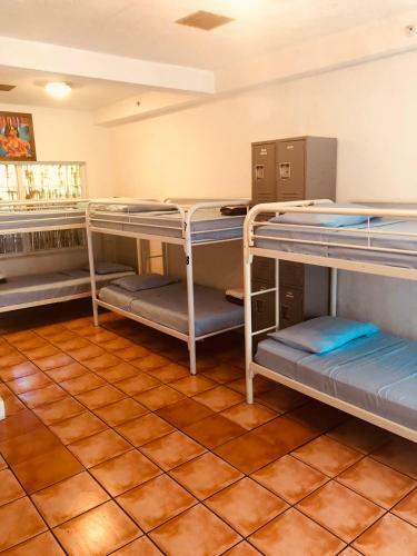 Miami Hostel