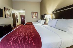 Hotel Comfort Inn & Suites Maingate South