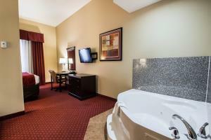 Hotel Comfort Inn & Suites Maingate South