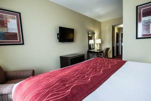 Hotel Comfort Inn & Suites Maingate South