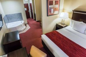 Hotel Comfort Inn & Suites Maingate South