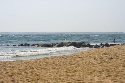 Hotel Oceanview Lodge - Saint Augustine