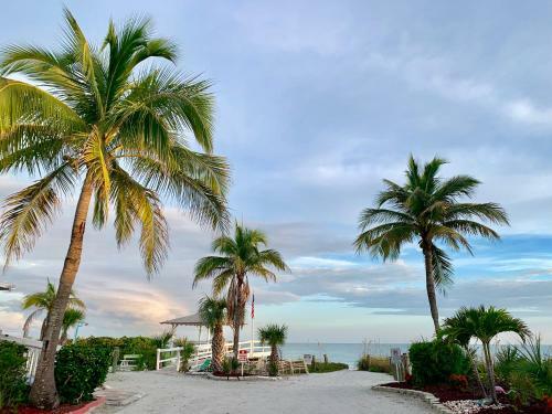 Hotel Beachview Cottages