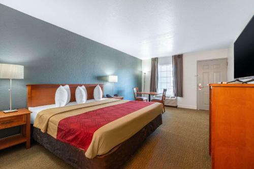 Motel Econo Lodge At Raymond James Stadium