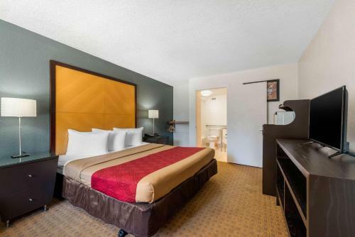 Motel Econo Lodge At Raymond James Stadium