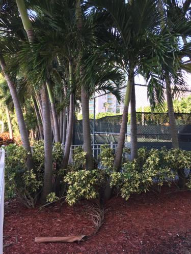 Apartamento Ocean Reserve 1210