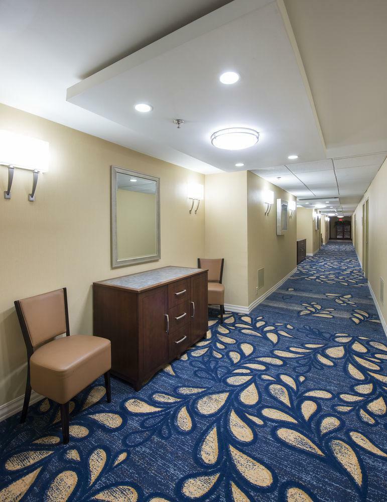 Doubletree By Hilton Hotel Tampa Airport-westshore
