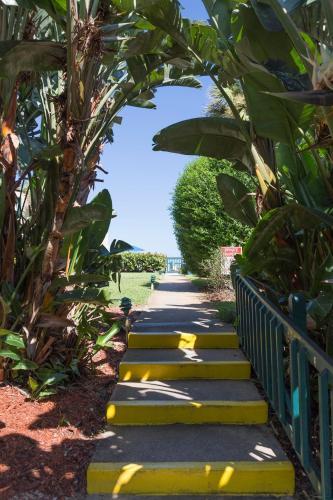 Hotel Reef Ocean Resort