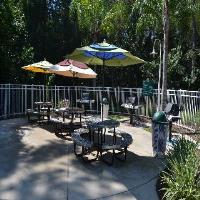 Hotel Cypress Pointe Resort By Diamond Resorts