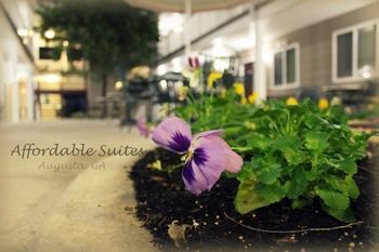 Hotel Affordable Suites Augusta
