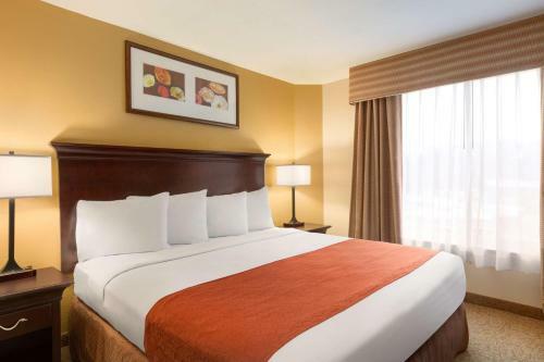 Hotel Country Inn & Suites Savannah North