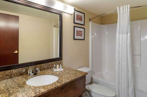 Hotel Comfort Inn And Suites