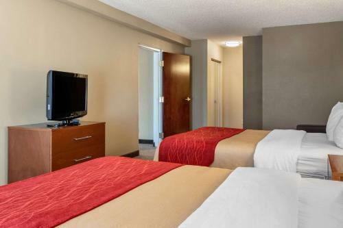 Hotel Comfort Inn And Suites