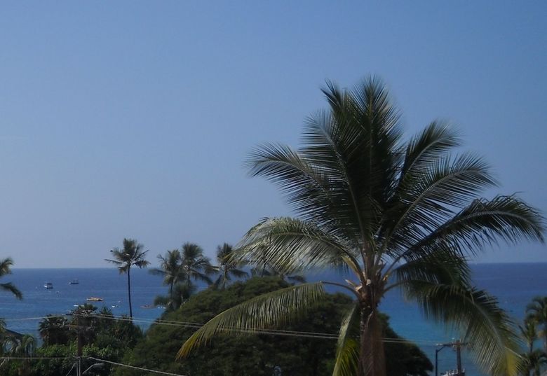 Apartamento Kona West