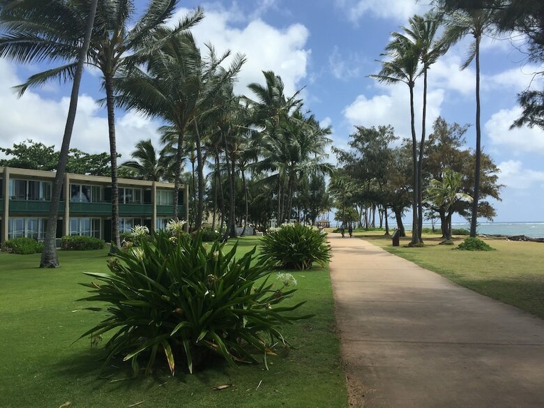 Hotel Coral Reef