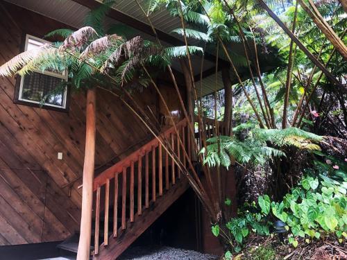 Bed & Breakfast Volcano Inn