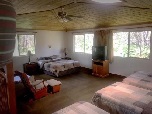 Bed & Breakfast Volcano Inn